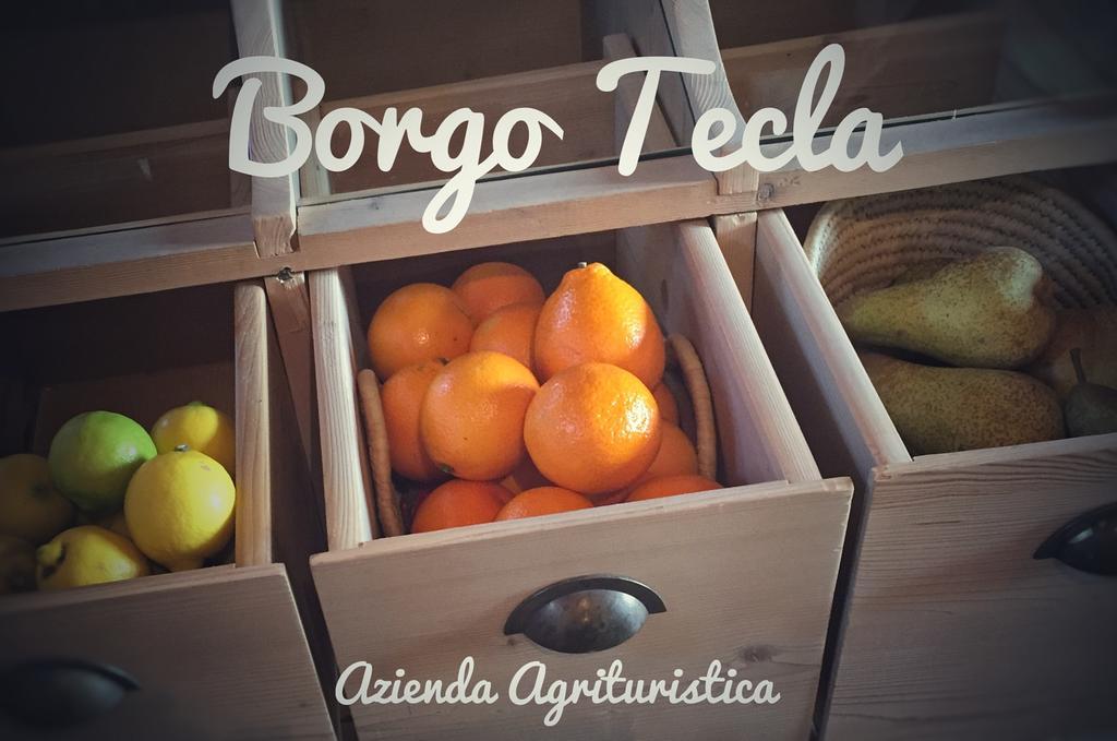 Agriturismo Borgo Tecla Rosà Eksteriør bilde
