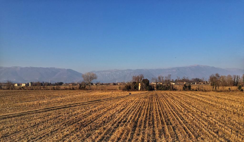 Agriturismo Borgo Tecla Rosà Eksteriør bilde