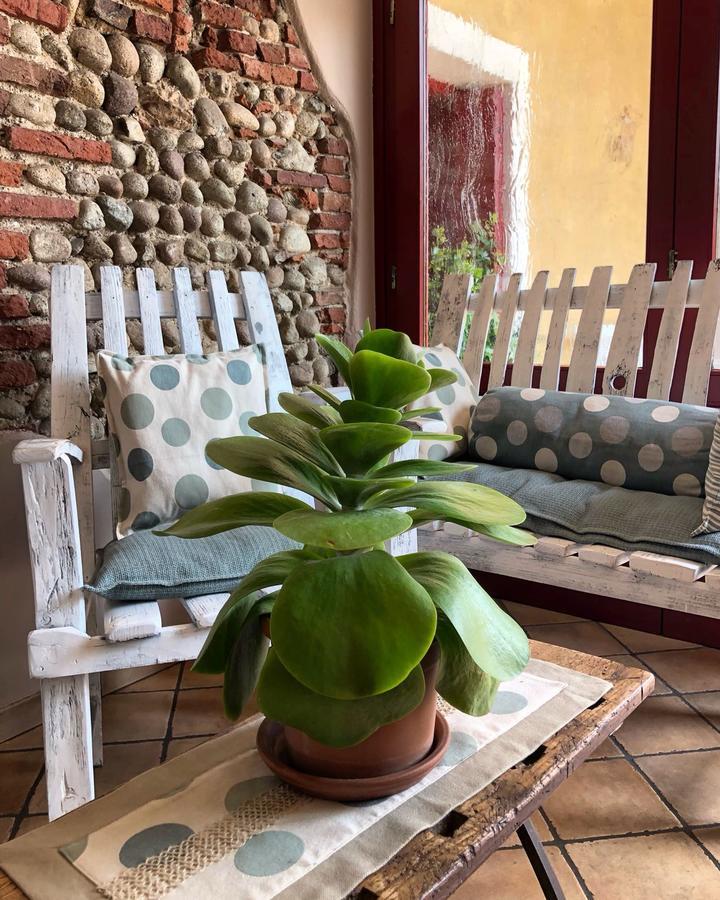 Agriturismo Borgo Tecla Rosà Eksteriør bilde